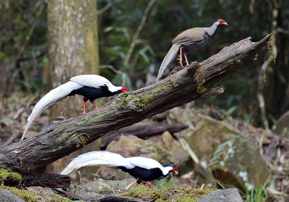 Ϫhlƴ塰ȡĔzİ319ՔzAӛ Ƃ z