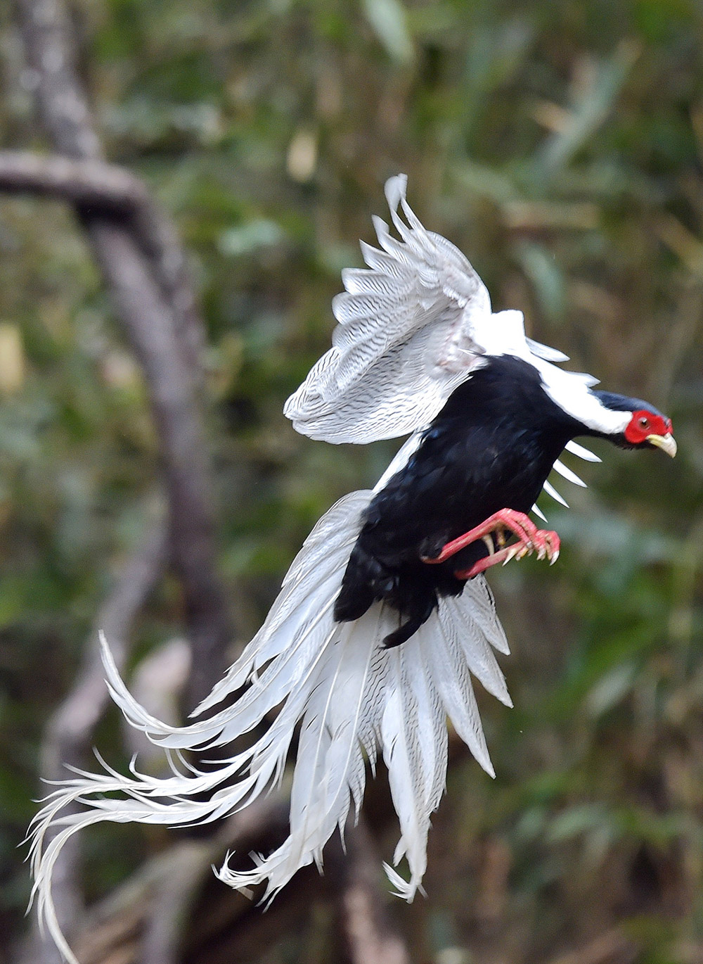 Ϫhlƴ塰ȡĔzİ319ՔzAӛ ÷ z