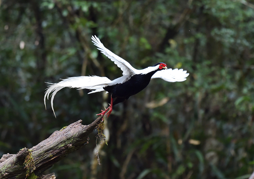 Ϫhlƴ塰ȡĔzİ319ՔzAӛ ÷ z