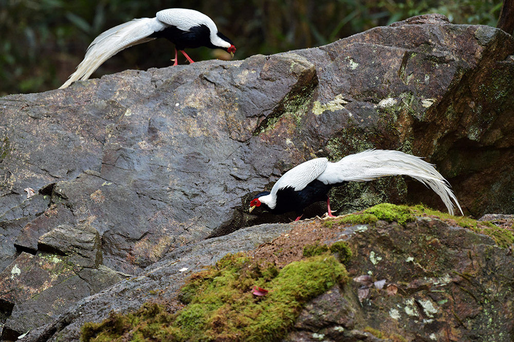 Ϫhlƴ塰ȡĔzİ319ՔzAӛ ÷ z