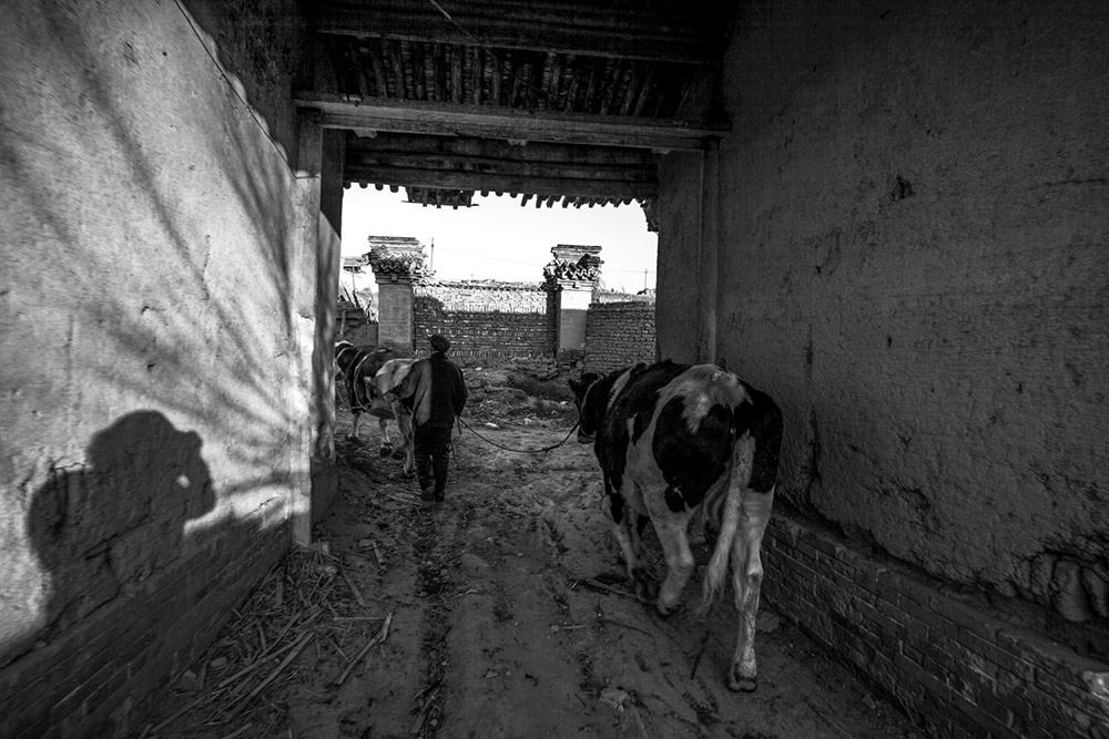 ԣҼґţMȦҸ20158Ĕzεhƽʹ壩