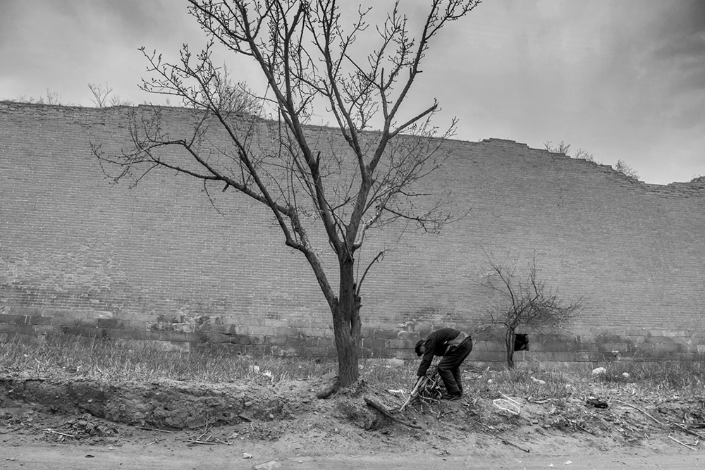 Ȼ˂y20164Ĕzfȫ^ųǣ