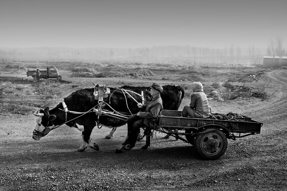 rræţ܇R܇CRꇈ˺ӂæ20166Ĕzڏh߅_壩