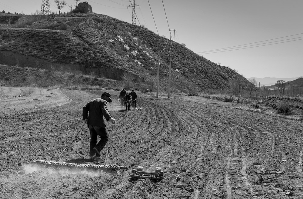 ǰNcʩȫæ20164ĔzxhСl