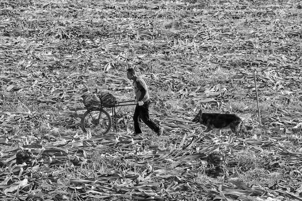 Օrҵġlʿo{R201510ĔzڳYh_ű