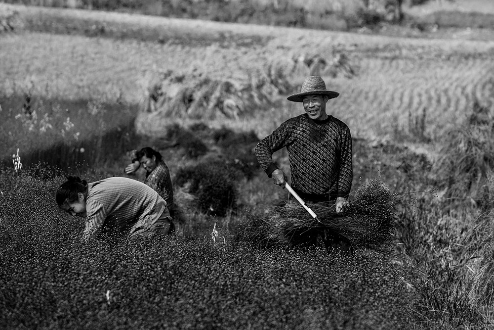 ʮի@ļߚˬh̎̎ոSվ201510ĔzڳYh̫ӳǴ壩