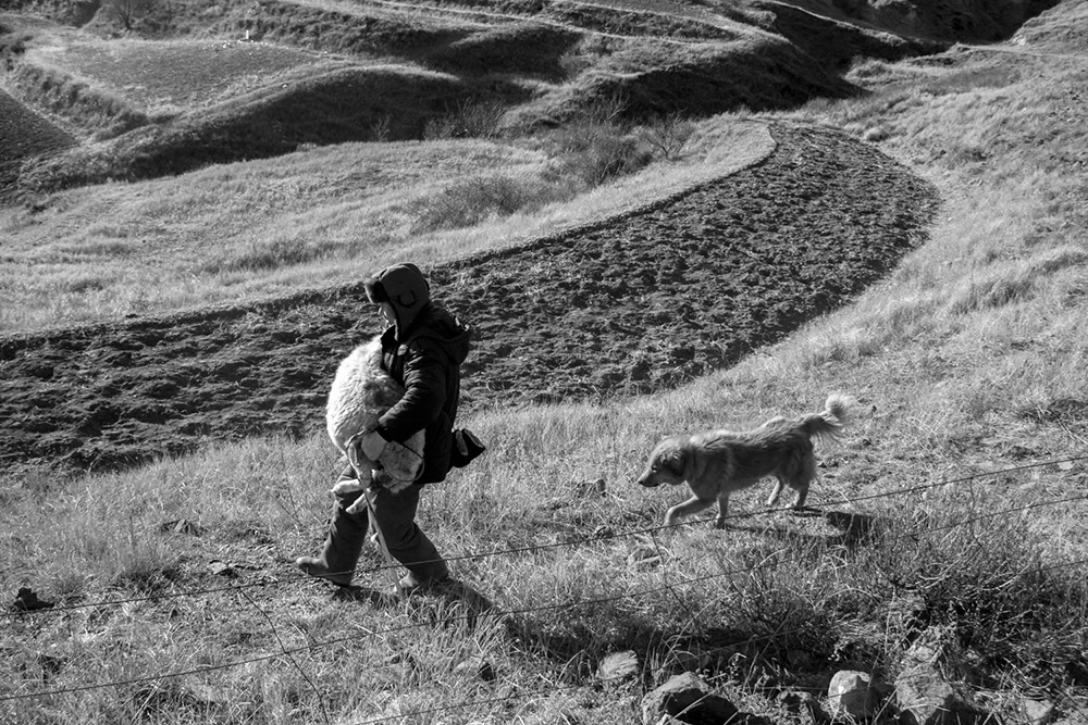 һλ܂ĸȮlS201511Ĕzڑсh°