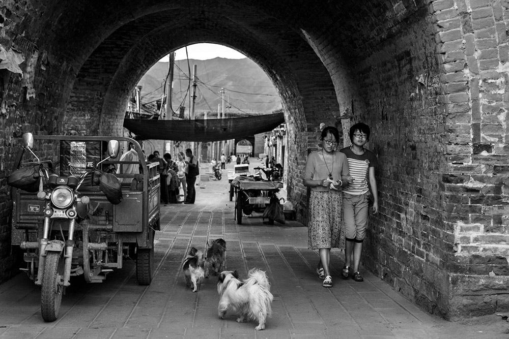 ҿڱ_lξ^ÿο_j[^201512Ĕzڏҿڱ