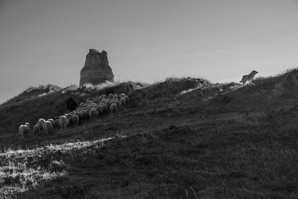 ǏҿͨɵĹ̵߀ǴͨҪ·201411Ĕzڏҿڏ