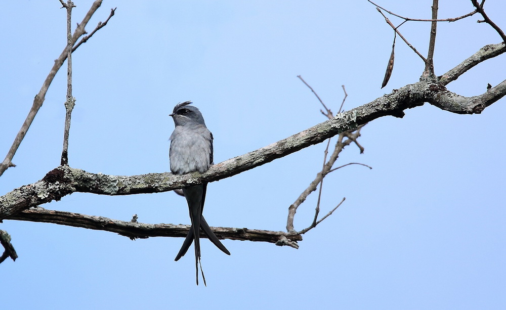 ҿP^ ʡºâһСӰ10qĔzӯ