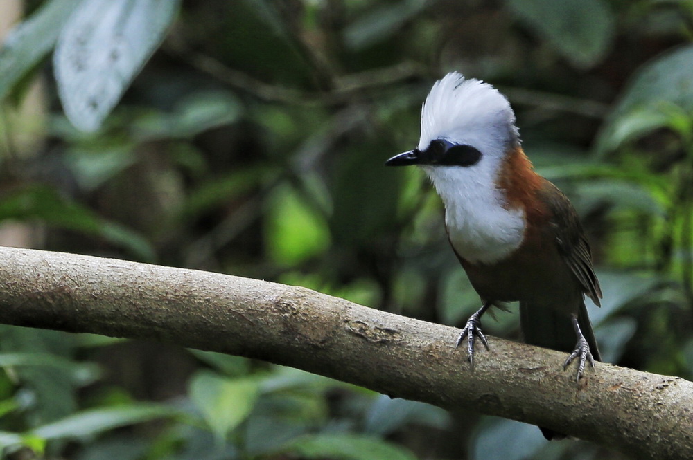 彭子安攝影作品
