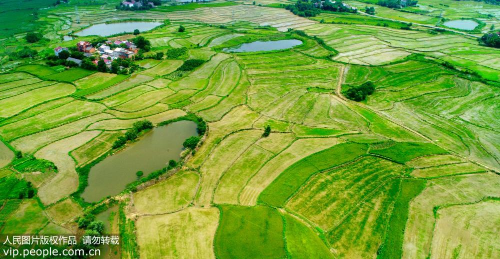 ���Տ]������@�������箋��4��