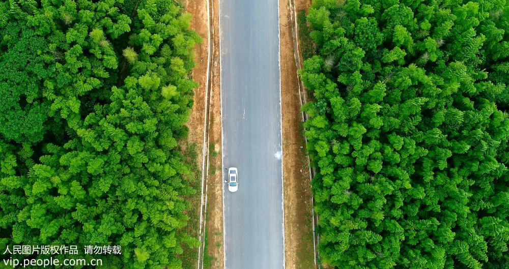 ���Տ]������@�������箋��5��