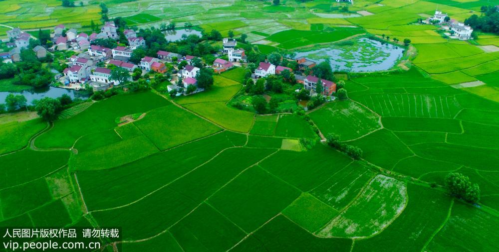 ���Տ]������@�������箋��2��