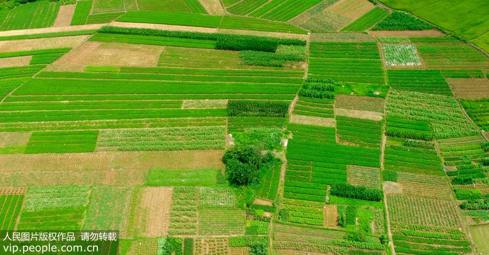 ���Տ]������@�������箋��3��