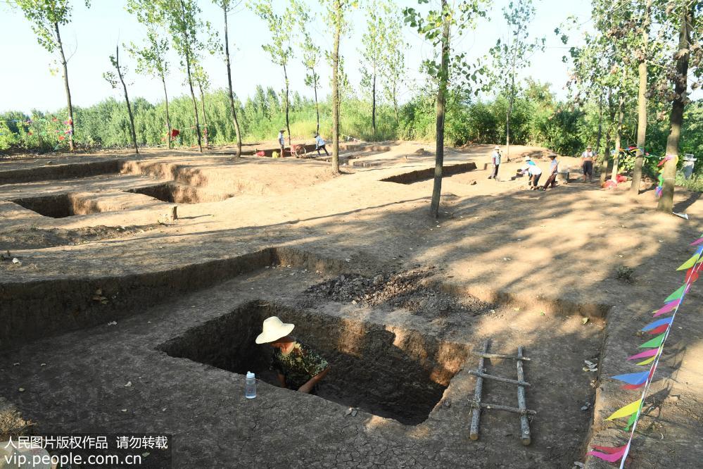 �hʮ���F���Űl������������3��