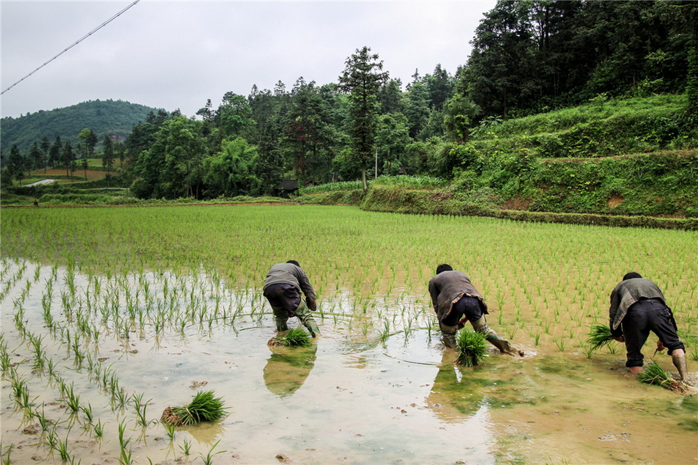 Ʒ  һ꼉FʡȪƺСW ֵ˲ļæµ