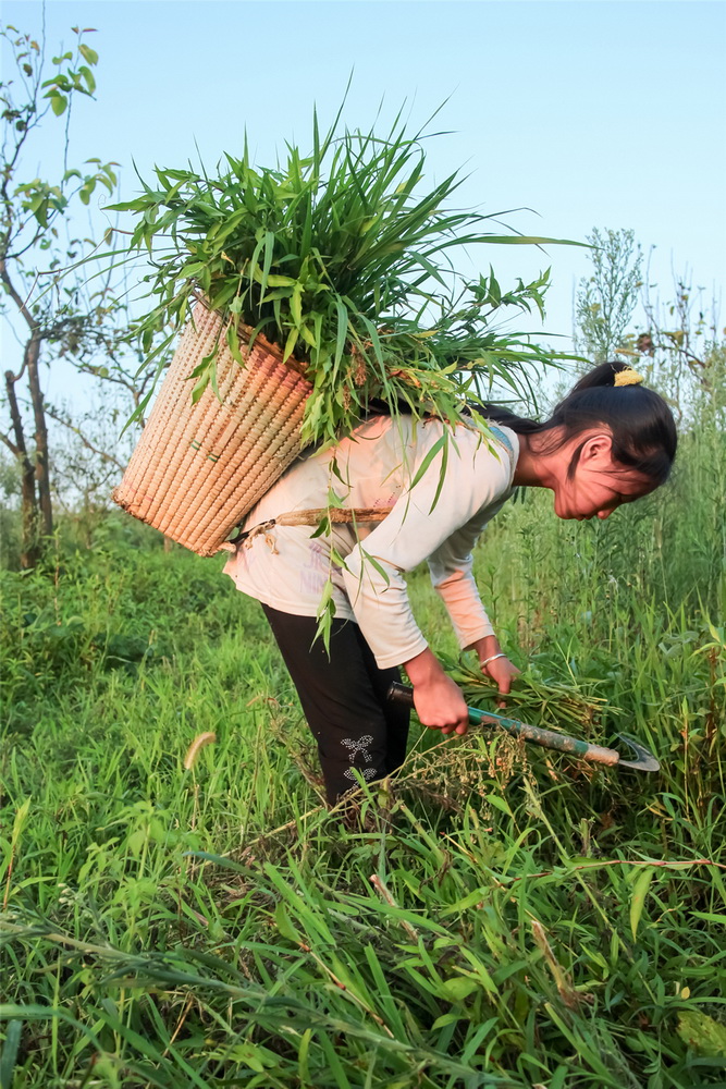 sݡrȺƷ  һ  FʡȪж mСҲ҂ʹ˸ɻһ80Ԫ