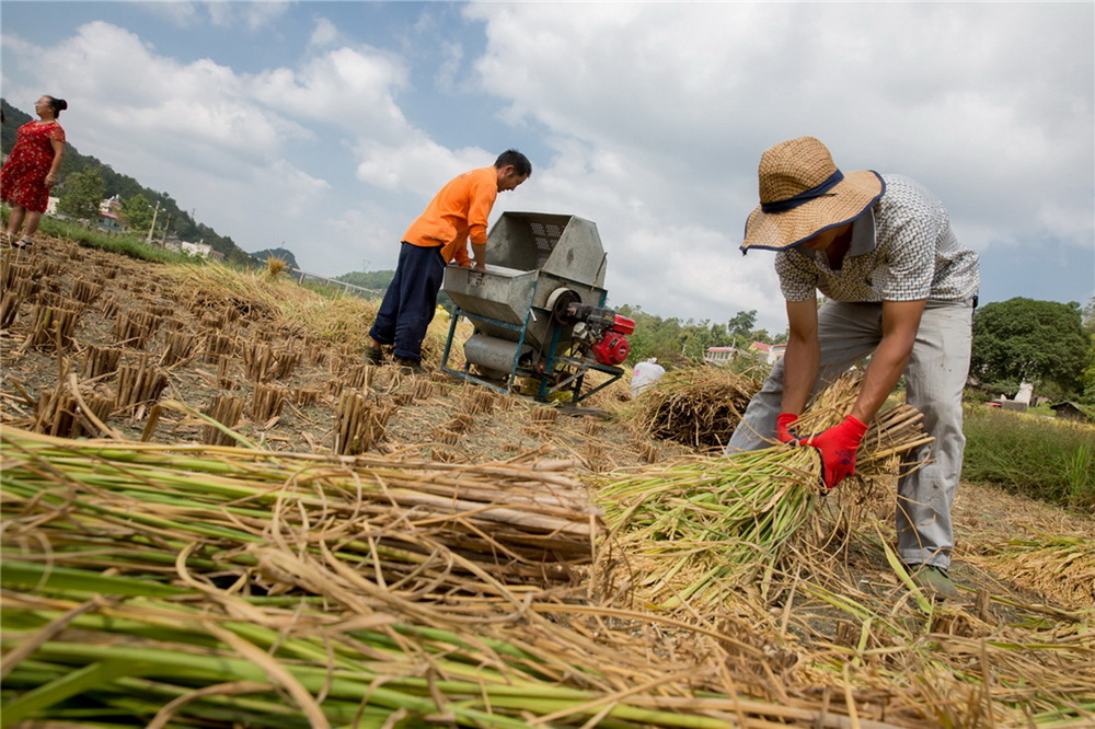 סrAƷ  꼉  FʡȪнɽƺɽСW 岻˼Ҍfڄ