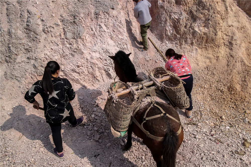 ɳ_Ʒ   꼉  FʡȪƺСW Ҫˮ·҂Ҳ뵽ڄ