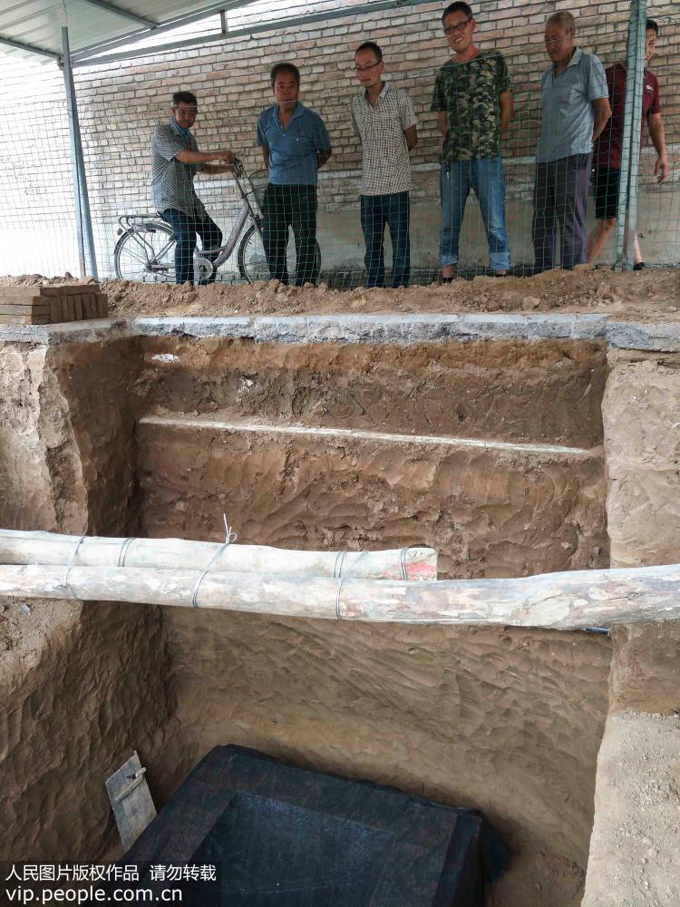 ɽɽһrլ°lFδuĹ12