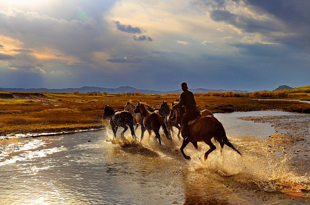 2017ЇŮzӰҾ۽еϔzӰL֪ͨ6