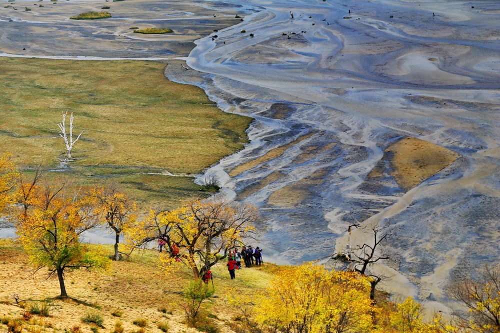 2017ЇŮzӰҾ۽еϔzӰL֪ͨ3