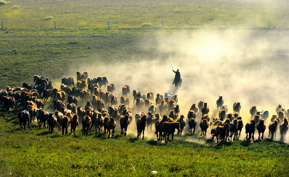 2017ЇŮzӰҾ۽еϔzӰL֪ͨ4