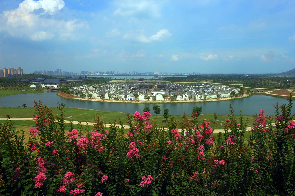 ¡Ӳ[@zӰƷչ冢ʾ11