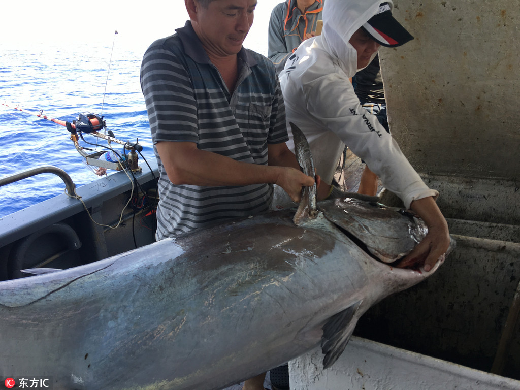 �L1.73����180���� ��ថۺ����Ϻ�឵����o䛳�����~��  ��4��