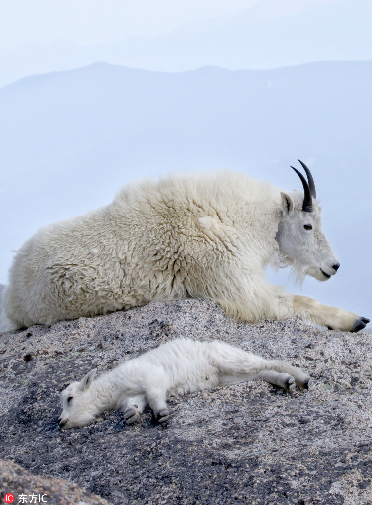 �z�����ָ���С��ả��4000��ɽ���������S��4��