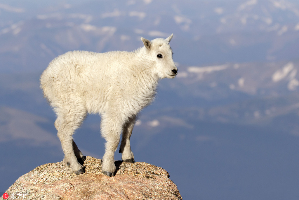 �z�����ָ���С��ả��4000��ɽ���������S��3��