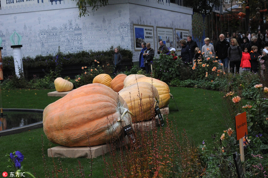 �����e���fʥ���ϹϷQ�ش�ِ ��ȹ�܊���_485.9���4��