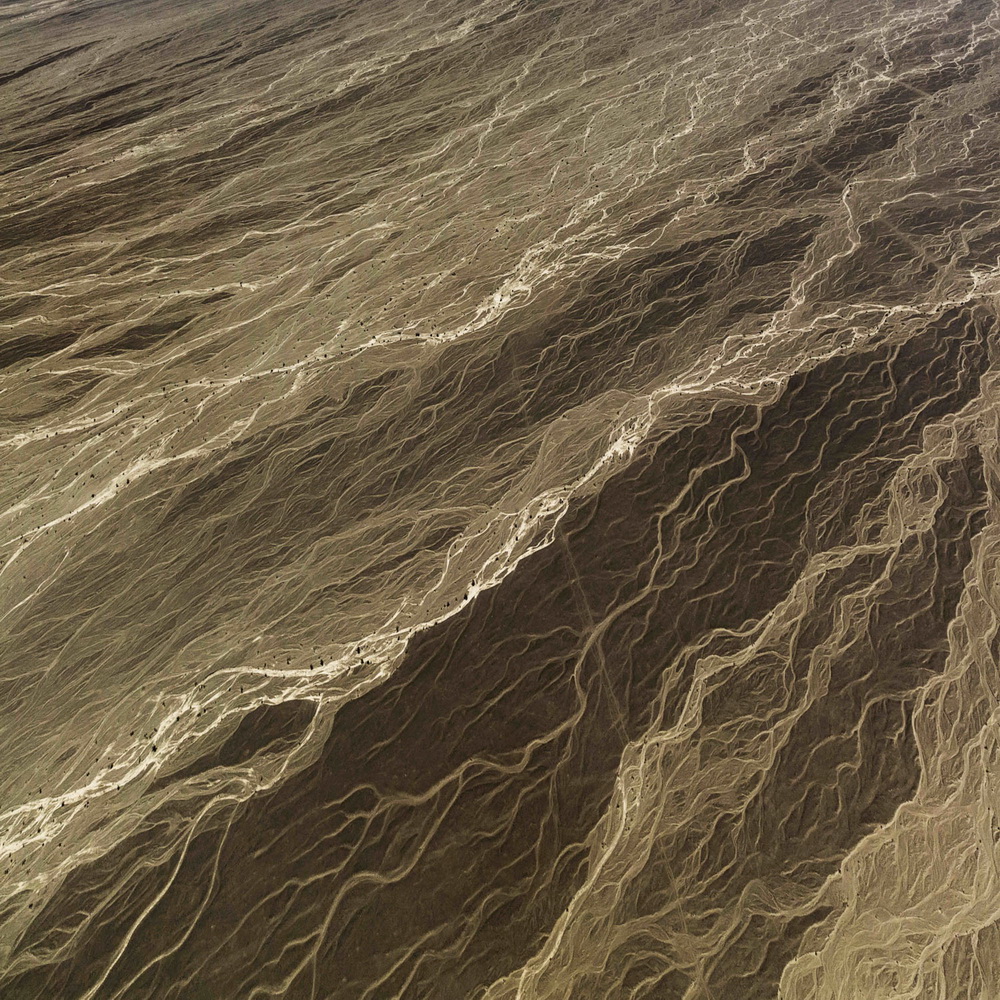 MգĴخ@þCصȪ ---- 201719ȫˇgzӰِ