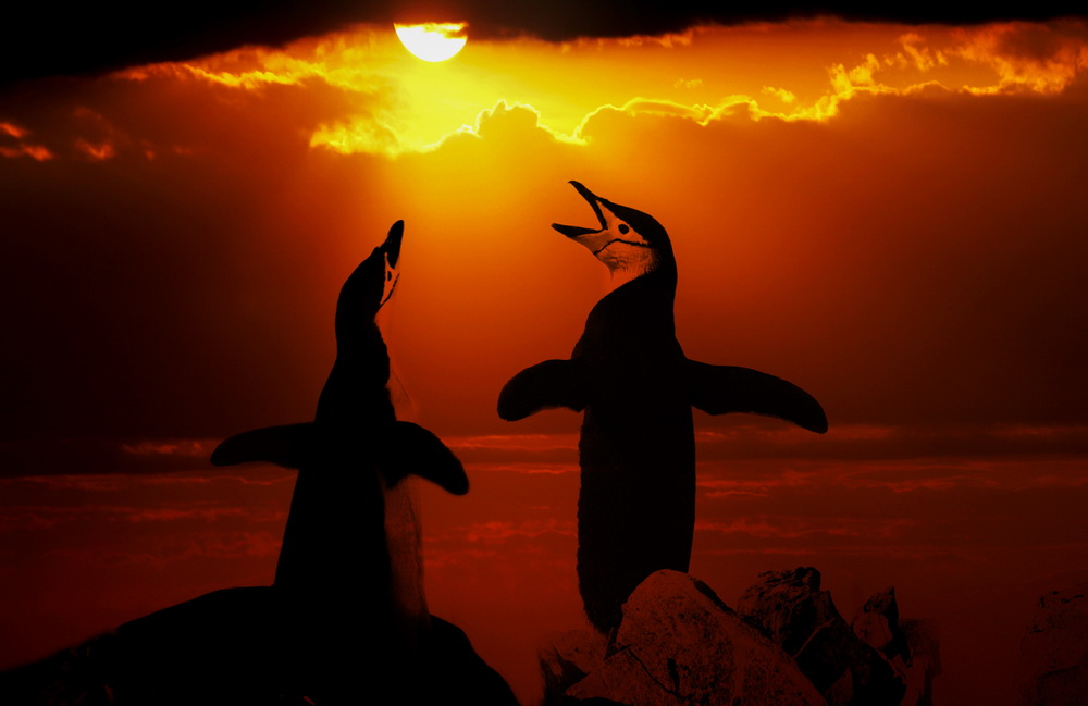 MգϘOǳ@y|ղت---Ї d ҵĉzӰˇgչ