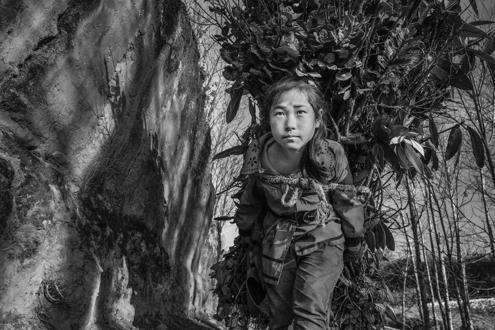 صؓ@2016 ӢRˇHzӰِMGPUR