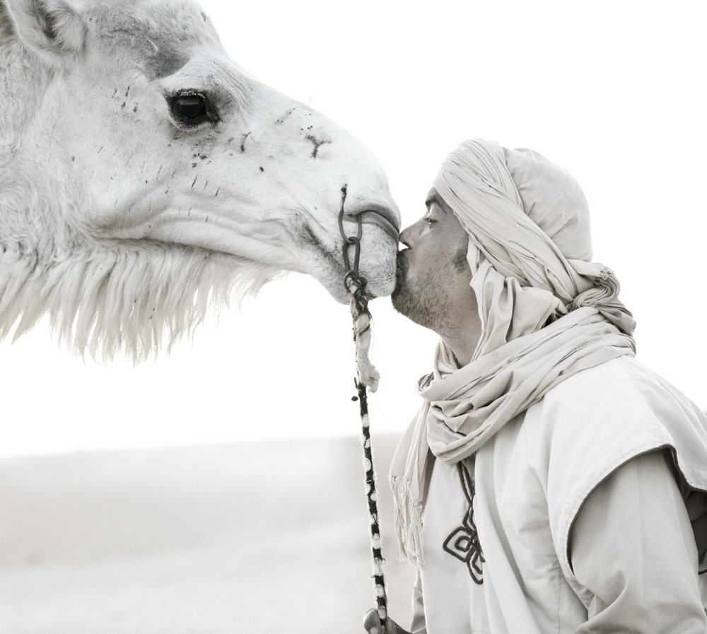 ҵĻ顷--2016ؿ˹HzӰِӍR