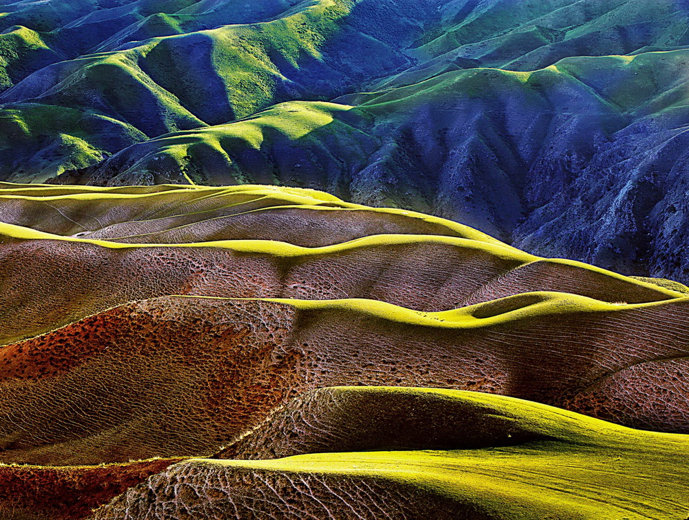 2016HKARHχHzӰѲչ[ IUPyƺuί]