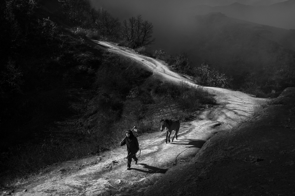   · ϡ-Home Way 2017ϣDzӰѲِPSARMYKONOSِ^ڰ_ŽM