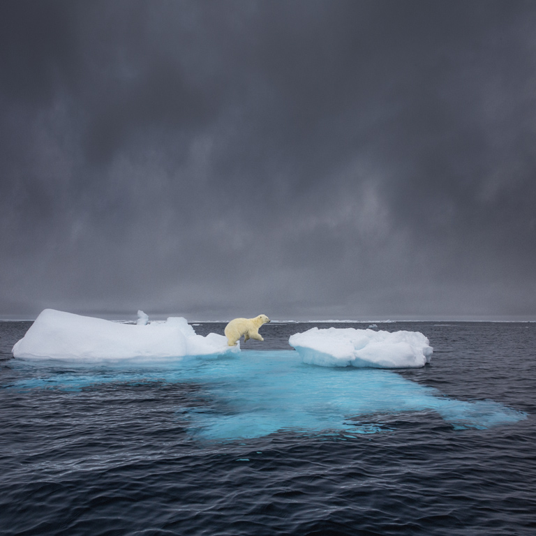 S-Leap2017ڶÿРHѲؔzӰչ[ɳ~ƣMontenegroِ^ҰM