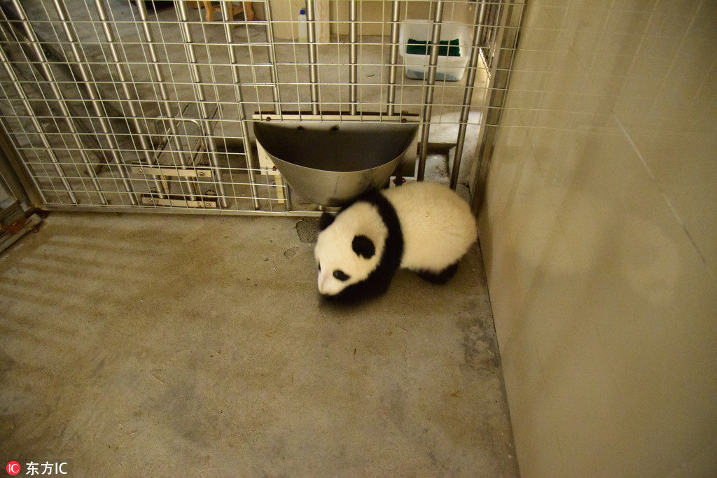 �Ĵ��ɶ�����؈����������ˣˤ���^ ���ȶ�Ȥ��6��