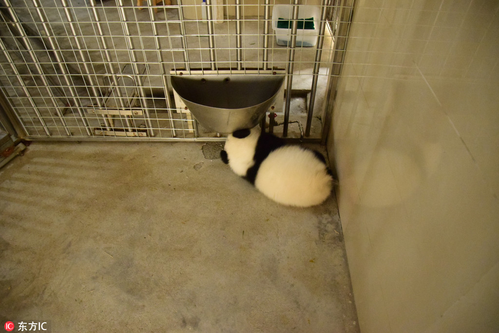 �Ĵ��ɶ�����؈����������ˣˤ���^ ���ȶ�Ȥ��5��