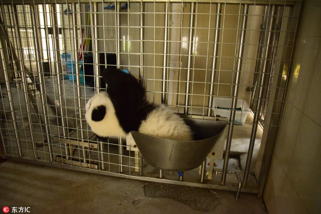 �Ĵ��ɶ�����؈����������ˣˤ���^ ���ȶ�Ȥ��2��