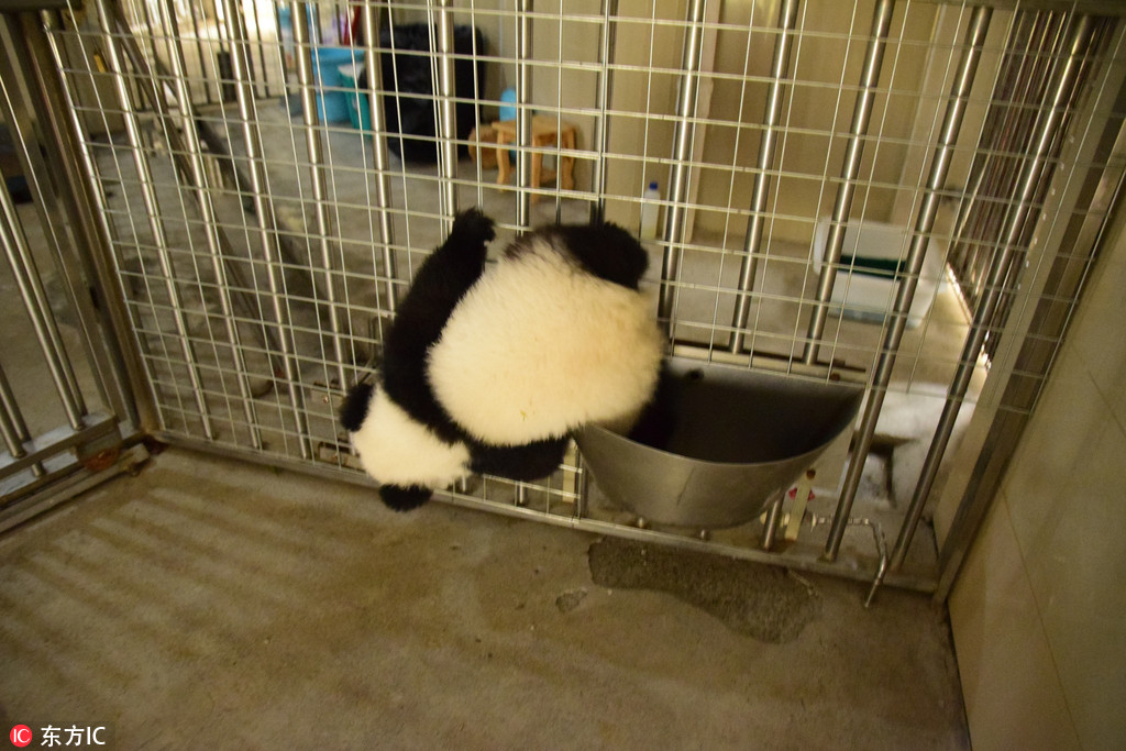 �Ĵ��ɶ�����؈����������ˣˤ���^ ���ȶ�Ȥ��3��