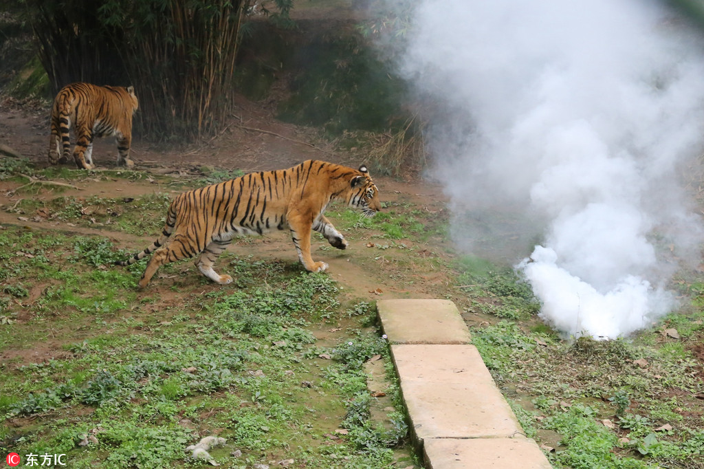 ���۔zӰ�����fԪ�o�˙C�����ϻ� ���ϱ�һ�Ɠ���ҧ���顾2��