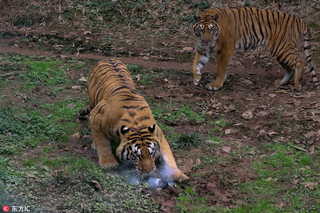 ���۔zӰ�����fԪ�o�˙C�����ϻ� ���ϱ�һ�Ɠ���ҧ���顾4��