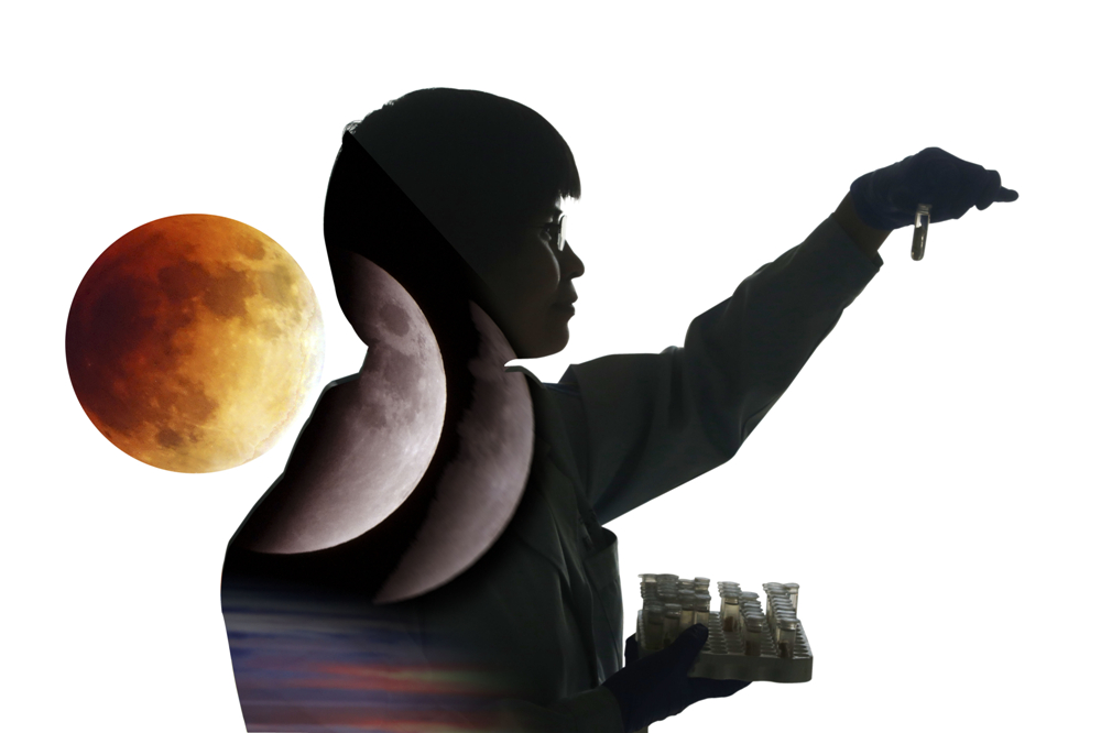 2.ӢtоTڎIFŬ˺ʧԹǁGʧ}̶ȵرoTĽ(ϳɈDƬ)(ZÔzӰ)