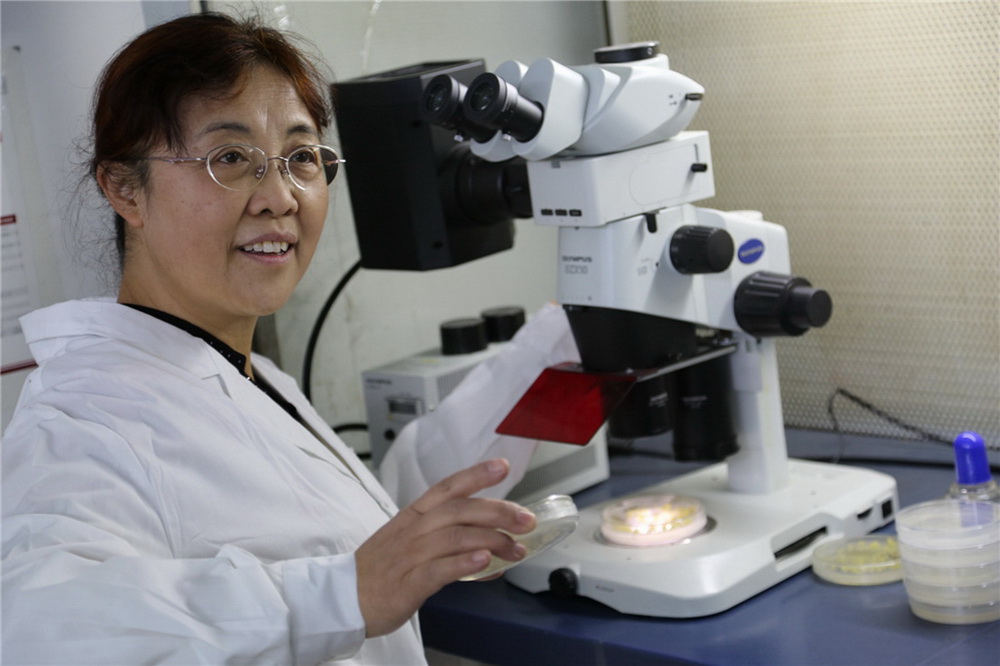 5.оµİlFϲɫ(ϼzӰ)