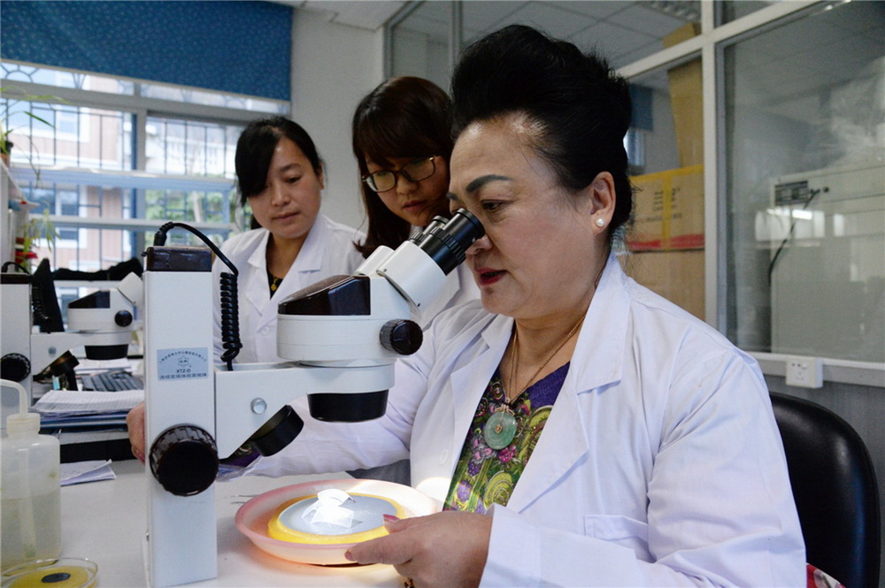 3.@΢R^캦x씳ʳW(RAzӰ)