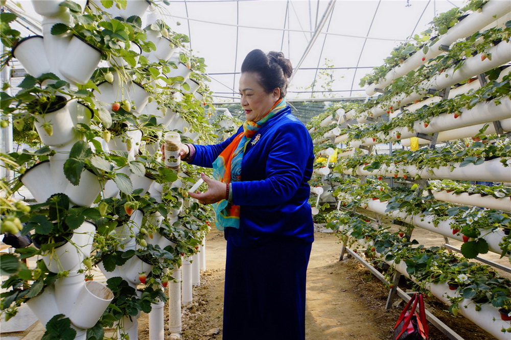 5.oݮͶźgβݮt֩x(RAzӰ)